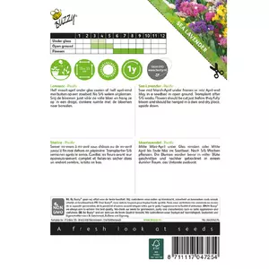 Statice sinuata pacific 0.25g - afbeelding 2