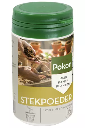 Stekpoeder rhizoph 25g - afbeelding 3