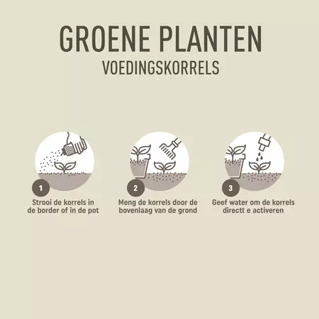 Strooibus groene plant 800g - afbeelding 3