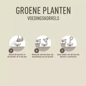 Strooibus groene plant 800g - afbeelding 3