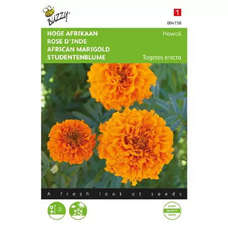 Tagetes er. hawaii fl.pl. 1g - afbeelding 1