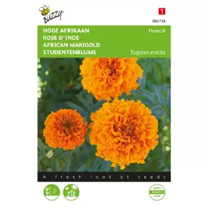 Tagetes er. hawaii fl.pl. 1g - afbeelding 2
