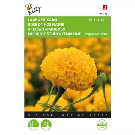 Tagetes erecta nana golden age 0.5g - afbeelding 1