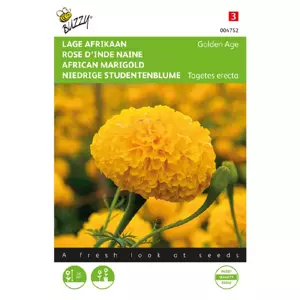 Tagetes erecta nana golden age 0.5g - afbeelding 2