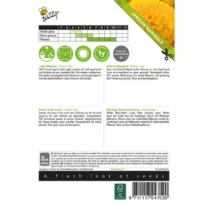 Tagetes erecta nana golden age 0.5g - afbeelding 2