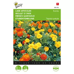 Tagetes pat. nana bonita d 1g