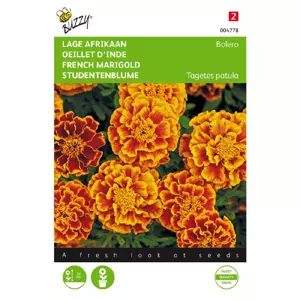 Tagetes patula nana bolero 1g - afbeelding 1