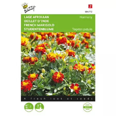 Tagetes patula nana petite harmo 1g - afbeelding 1