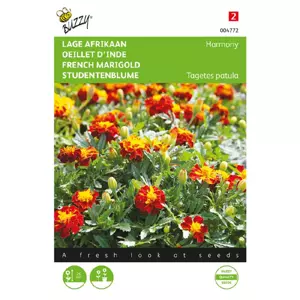 Tagetes patula nana petite harmo 1g - afbeelding 1