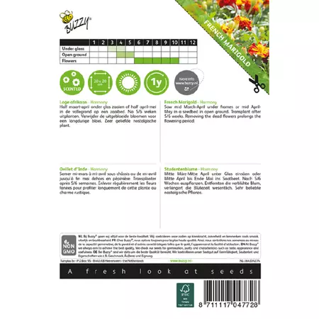 Tagetes patula nana petite harmo 1g - afbeelding 2