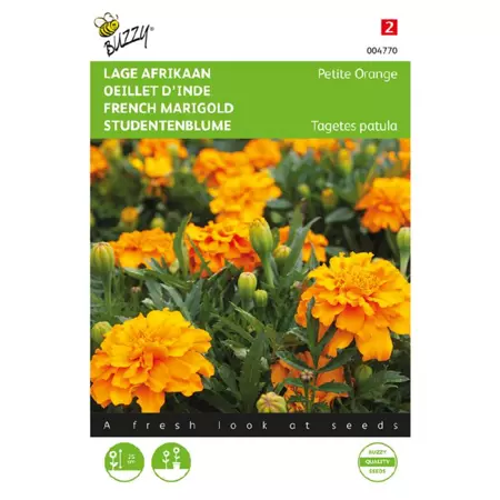 Tagetes patula nana petite orang 1g - afbeelding 1