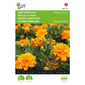 Tagetes patula nana petite orang 1g - afbeelding 1