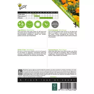 Tagetes patula nana petite orang 1g - afbeelding 2