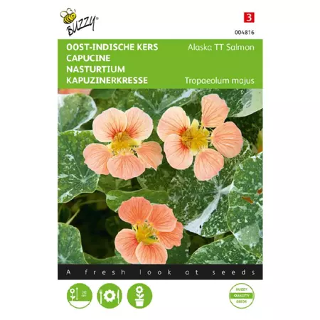 Tropaeolum alaska tt salmon 2.5g - afbeelding 1