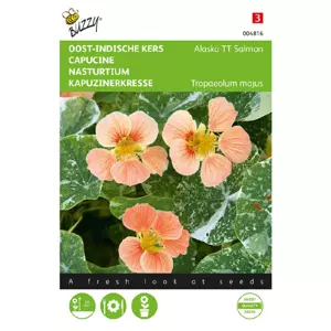 Tropaeolum alaska tt salmon 2.5g - afbeelding 1