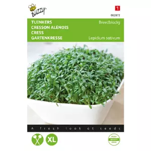 Tuinkers grootbladig 15g