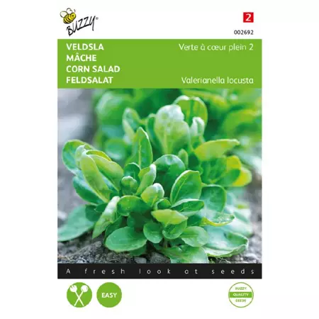 Veldsla groen volhart 2 5g