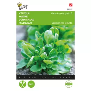 Veldsla groen volhart 2 5g