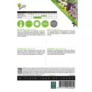 Viola cornuta bambini mix 0.4g - afbeelding 2