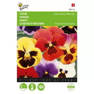 Viola tricolor max. aalsmeerse 0.4g - afbeelding 2
