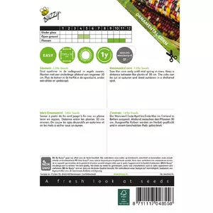 Zea japonica mays litt jew 7g - afbeelding 2