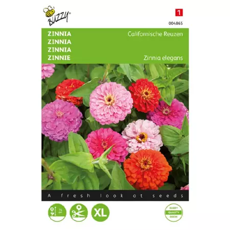 Zinnia elegans californisch rs 1.5g - afbeelding 1