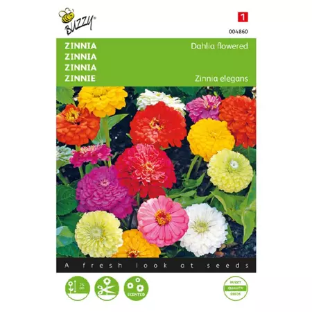 Zinnia elegans dubbel dahliabl 1.5g - afbeelding 1