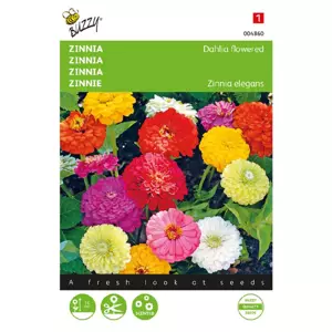 Zinnia elegans dubbel dahliabl 1.5g - afbeelding 2
