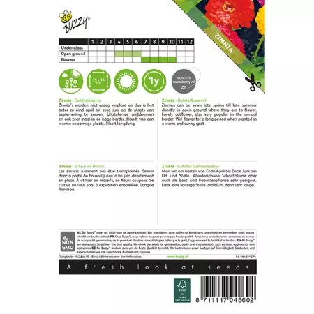 Zinnia elegans dubbel dahliabl 1.5g - afbeelding 2