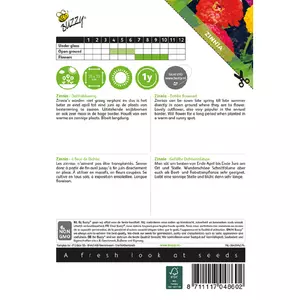 Zinnia elegans dubbel dahliabl 1.5g - afbeelding 2