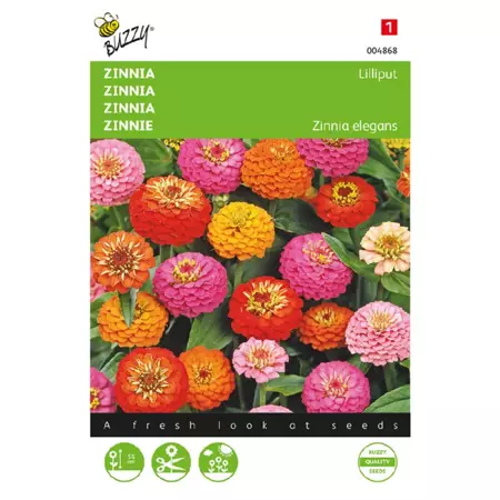 Zinnia elegans liliput pompon 1.5g