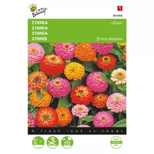 Zinnia elegans liliput pompon 1.5g